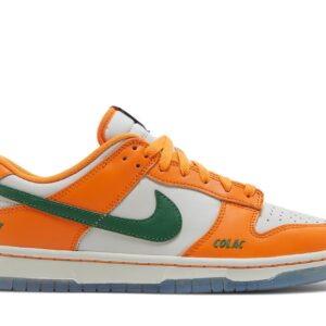 Florida A&M University x Nike Dunk Low We Bragg Different DR6188-800