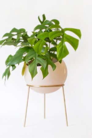 Exquisite Nude Pink and Brass Floor Planter Elevate Your Home's Ambiance