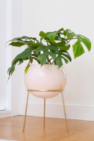 Exquisite Nude Pink and Brass Floor Planter Elevate Your Home's Ambiance