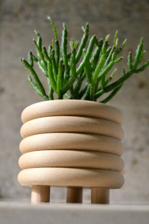 Mid-Century Modern Coiled Planter Elevate Your Indoor Oasis with Matte Sophistication