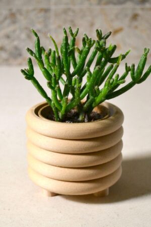 Mid-Century Modern Coiled Planter Elevate Your Indoor Oasis with Matte Sophistication