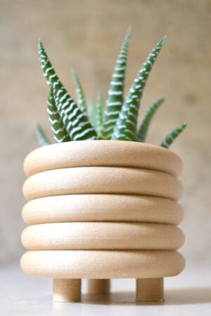 Mid-Century Modern Coiled Planter Elevate Your Indoor Oasis with Matte Sophistication