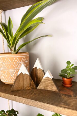 Enchanting Mountain Shelf A Nursery Adventure for Little Explorers