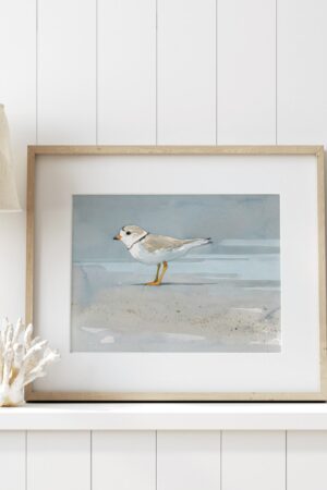 Coastal Serenity Piping Plover Beach Art Print for Tranquil Seashore Decor