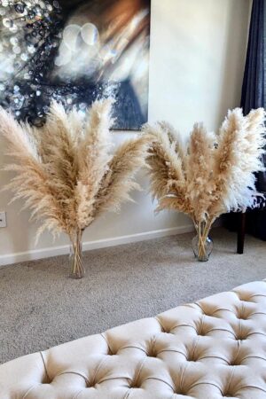 TALL PAMPAS GRASS 2-4ft | Elevate Your Home and Events with Boho Elegance