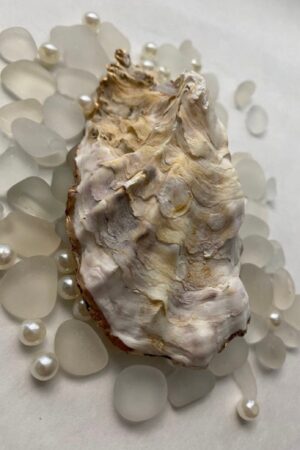 Personalized Oyster Shell Ring Dish A Timeless Treasure for the Mother of the Bride