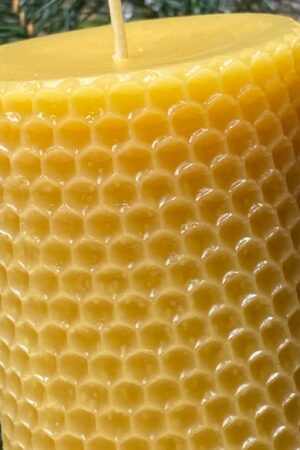 Honeycomb Haven Pure Beeswax Pillar Candle from the Heart of the Hive