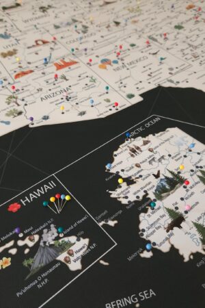 Discover the USA Personalized Travel Map with National Parks, Landmarks, and Push Pins