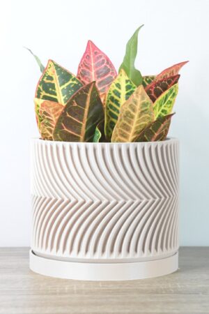 The Parisian Planter A Touch of French Elegance for Your Home