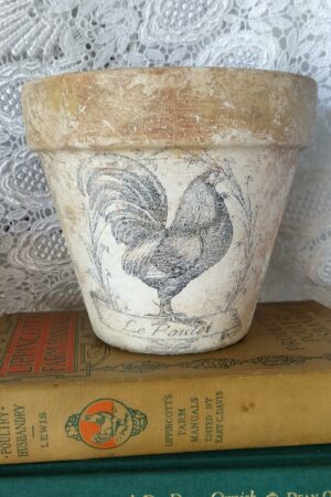 Charming French Country Rooster Terracotta Planter Rustic Hen or Chicken Le Poulet in Distressed Aged Look (4 or 6 in Clay Pot)