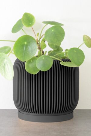 Modern Black Planter Elevate Your Home D?cor with Sophisticated Style