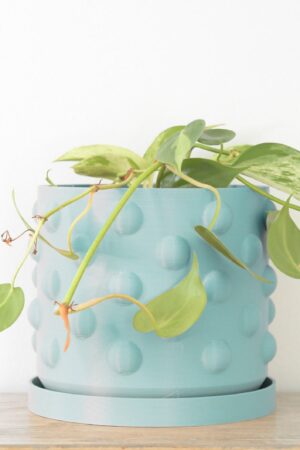 The Dot Pot Teal Delight for Your Home Decor