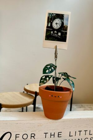 Monstera Adansonii Swiss Cheese Plant in a Handcrafted Photo Stand | 2" Potted Plant with Hand-Painted Leaves