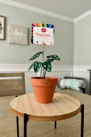 Monstera Adansonii Swiss Cheese Plant in a Handcrafted Photo Stand | 2" Potted Plant with Hand-Painted Leaves