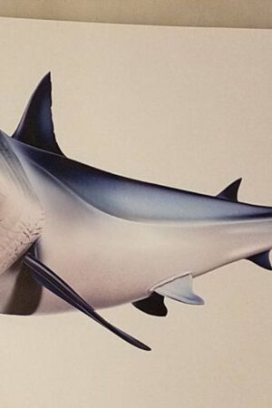 Mako Shark Decal Unleash the Predator on Your Boat