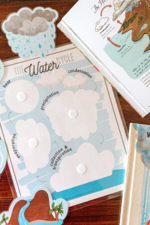 Water Cycle Adventure A Printable Nature Study for Young Explorers