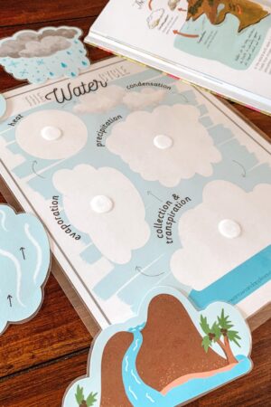 Water Cycle Adventure A Printable Nature Study for Young Explorers