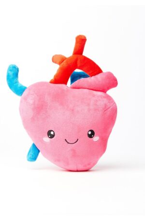 Heartfelt Plush A Symbol of Love and Resilience for Cardiology Professionals