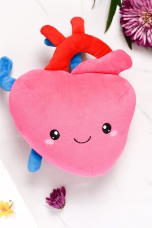 Heartfelt Plush A Symbol of Love and Resilience for Cardiology Professionals