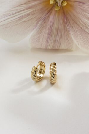 Bold Croissant Hoop Earrings Elevate Your Style with Minimalist Elegance