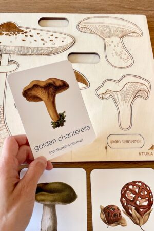 Montessori Mushroom Flashcards Unveil the Wonders of Nature for Early Learners