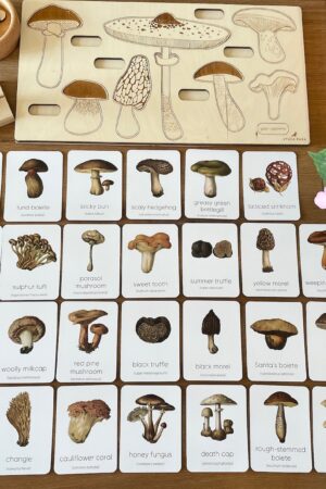 Montessori Mushroom Flashcards Unveil the Wonders of Nature for Early Learners