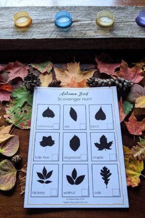 Autumnal Adventure Printable Fall Leaves Activity for Toddlers and Homeschoolers