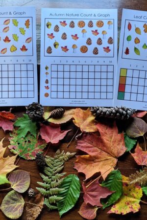 Autumnal Adventure Printable Fall Leaves Activity for Toddlers and Homeschoolers