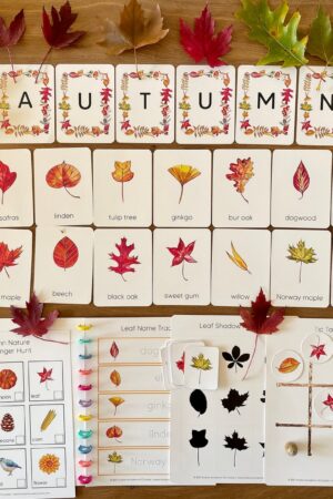 Autumnal Adventure Printable Fall Leaves Activity for Toddlers and Homeschoolers