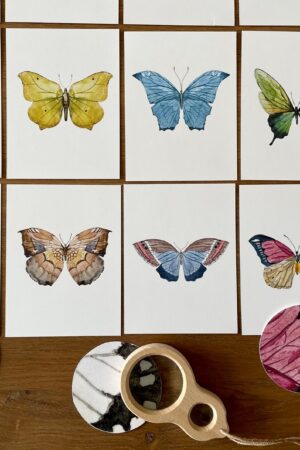 Butterfly Matching Cards Montessori-Inspired Nature Study for Toddlers