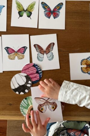 Butterfly Matching Cards Montessori-Inspired Nature Study for Toddlers