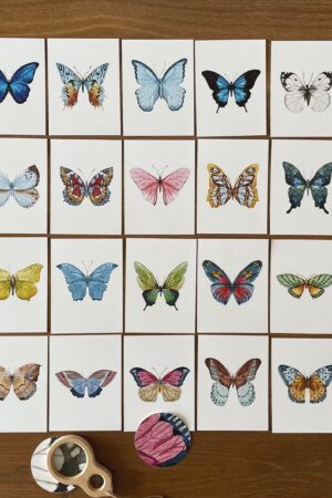 Butterfly Matching Cards Montessori-Inspired Nature Study for Toddlers