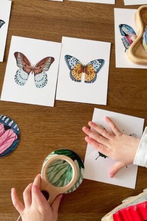 Butterfly Matching Cards Montessori-Inspired Nature Study for Toddlers