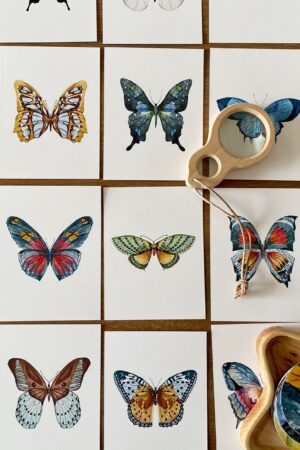 Butterfly Matching Cards Montessori-Inspired Nature Study for Toddlers