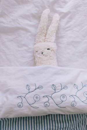 Organic Rambo the Rabbit A Cuddly Companion for Your Little One