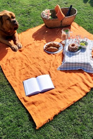 Linen Luxe The Ultimate Picnic Blanket for Unforgettable Outdoor Gatherings