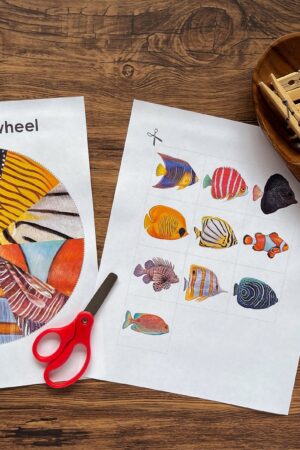 Fishy Fun Match and Learn with Our Printable Pattern Matching Wheel