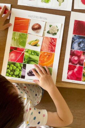 Montessori-Inspired Fruit and Veggie Matching Cards Explore the World of Produce Inside and Out