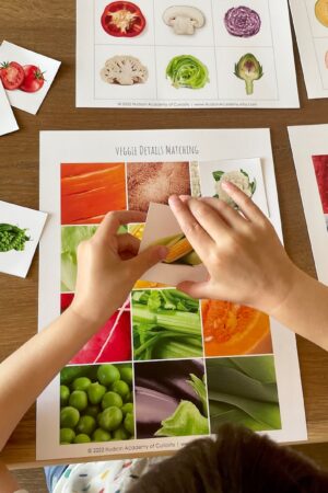 Montessori-Inspired Fruit and Veggie Matching Cards Explore the World of Produce Inside and Out