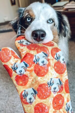 Paw-some Personalized Oven Mitts Put Your Furry Friend on Display