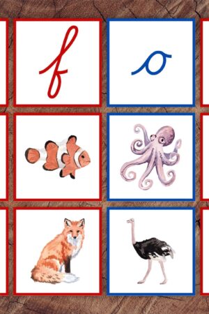 Cursive Letter Sounds Picture Sorting Cards Red Consonants, Blue Vowels