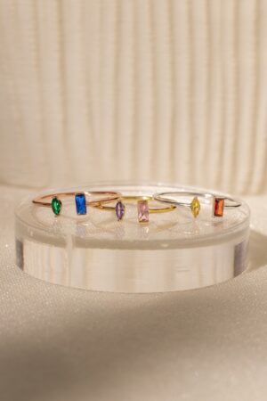 Caitlyn Minimalist Duo Birthstone Ring Celebrate Your Bond with a Timeless Treasure