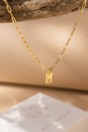 Personalized Paperclip Chain Necklace with Initial Charm A Timeless Gift for Mom (NM115bNIF33)