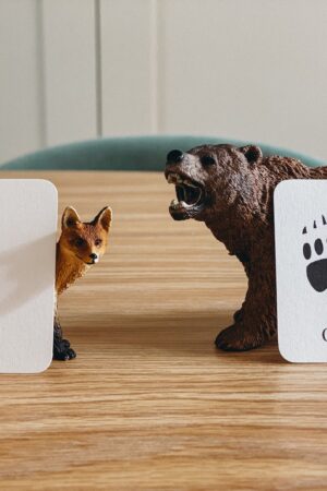 Animal Track Mini Flashcards Unlock the Secrets of Nature's Footprints