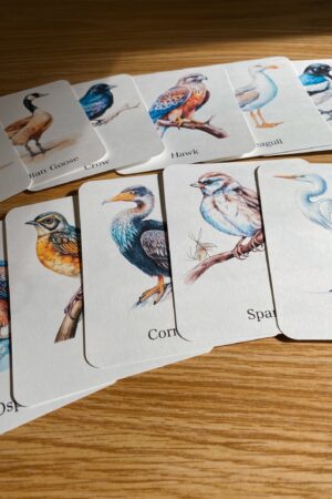 Discover the World of Birds Printable Flashcards for Nature Enthusiasts