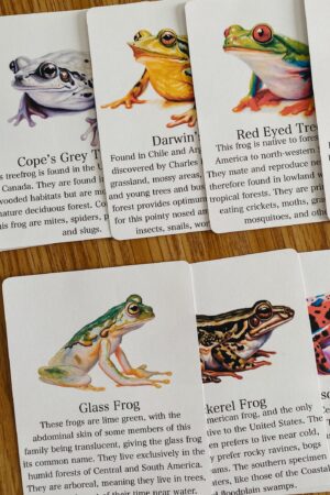 Discover the World of Frogs Printable Flashcards for Nature Science Exploration