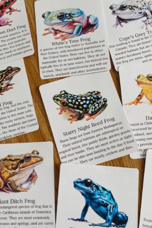 Discover the World of Frogs Printable Flashcards for Nature Science Exploration