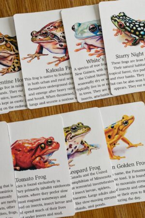 Discover the World of Frogs Printable Flashcards for Nature Science Exploration