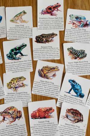 Discover the World of Frogs Printable Flashcards for Nature Science Exploration