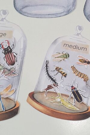 Montessori Insect Sorting and Matching Game Explore the World of Bugs